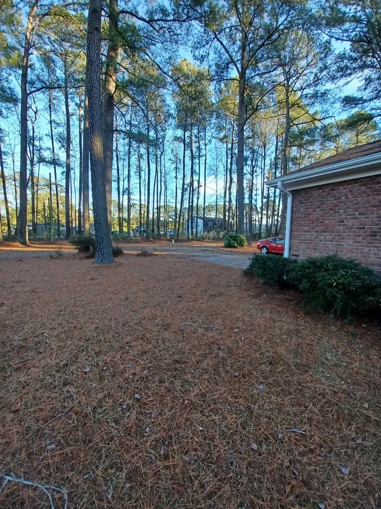 Reliable landscape installation for beautiful yards in NC, NC by Pc Lawn Care