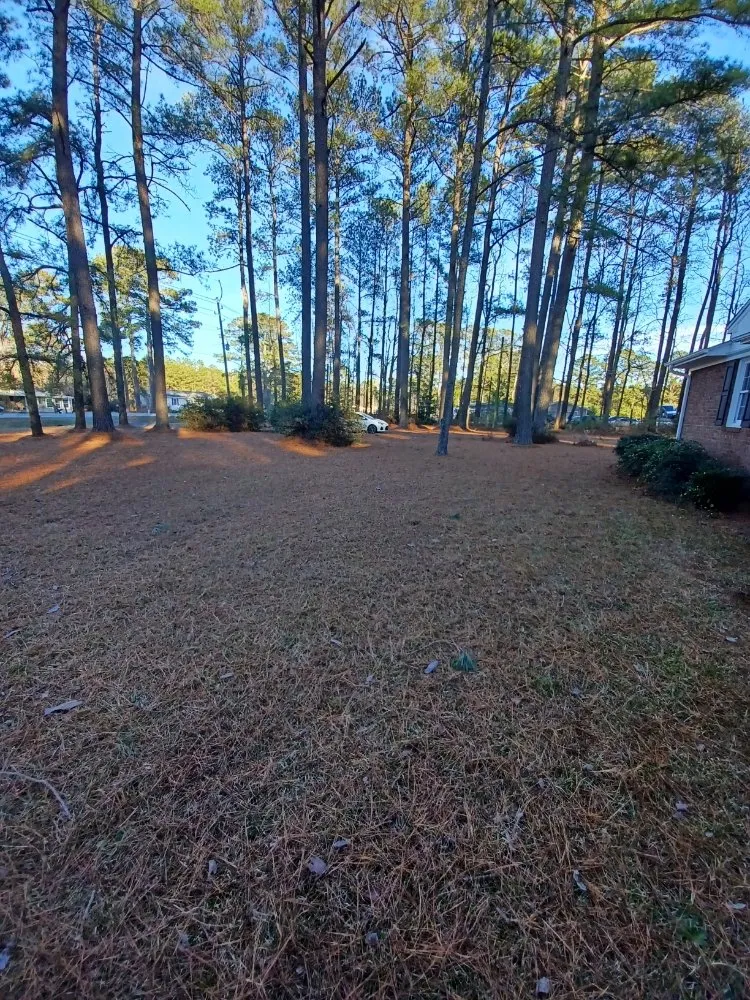 Local outdoor landscaping in NC, NC by Pc Lawn Care