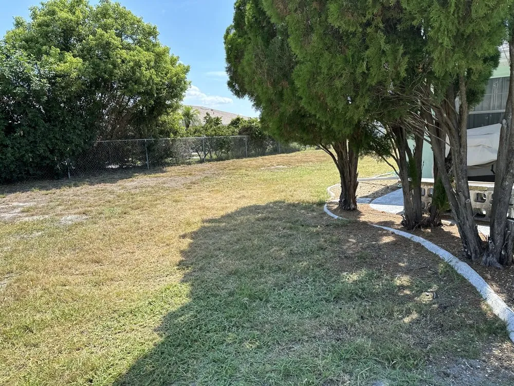 Affordable garden landscaping in Tampa, FL - P&C Lawncare