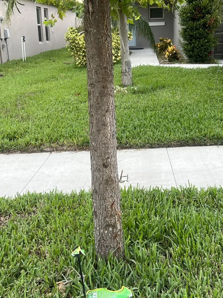 Professional garden landscaping in Tampa, FL by P&C Lawncare