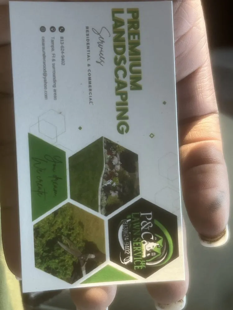 Top-rated landscape installation experts serving Tampa, FL - P&C Lawncare