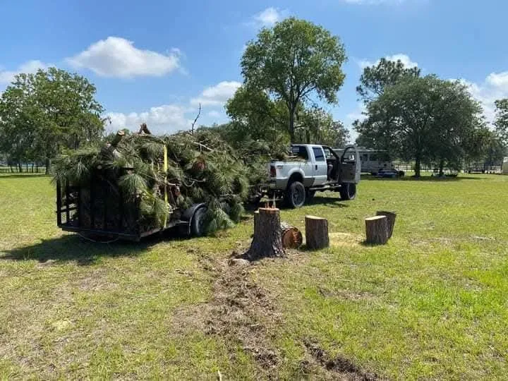 Top-rated yard maintenance experts serving Bronson, FL - P&C Ultimate Lawn Care