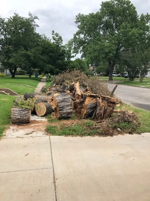 Affordable residential landscaping in Bronson, FL by P&C Ultimate Lawn Care