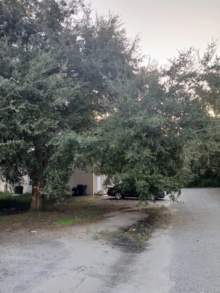 Top-rated yard cleanup service in Bronson, FL by P&C Ultimate Lawn Care