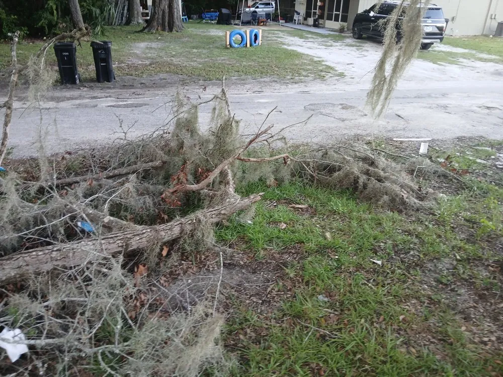 Trusted landscape installation for homes across Bronson, FL - P&C Ultimate Lawn Care