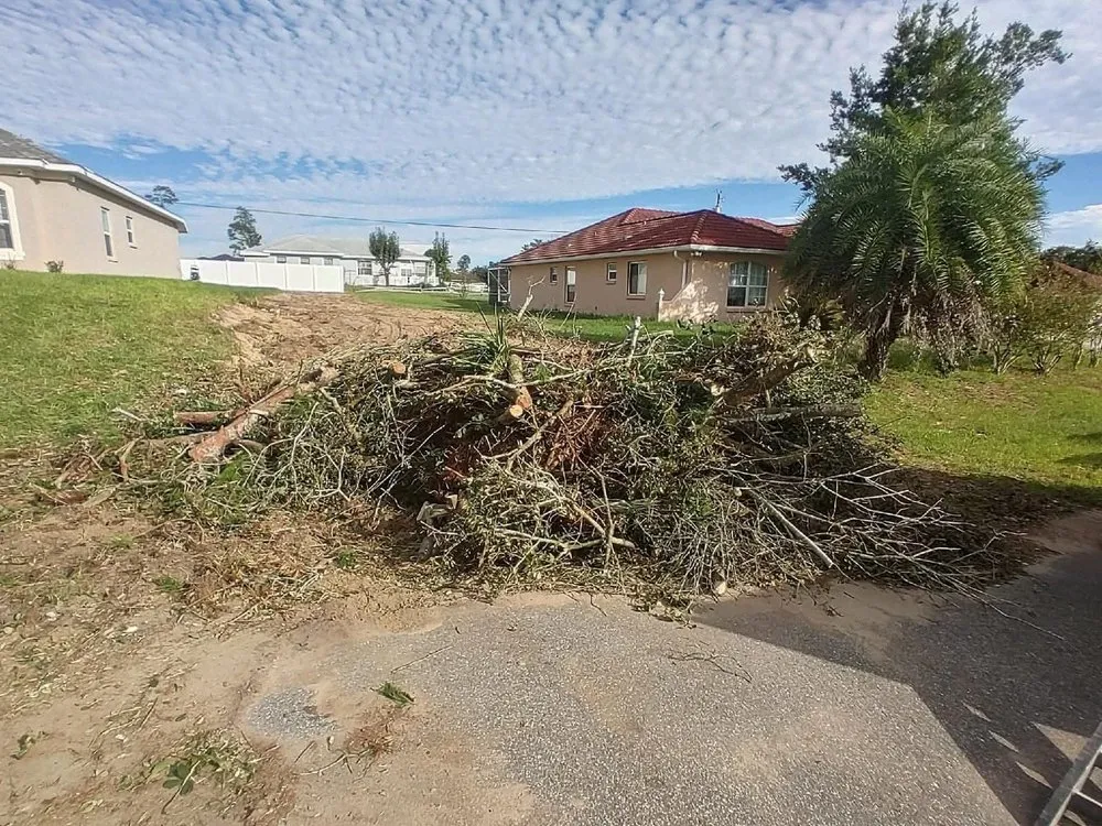 Top-rated landscaping services in Bronson, FL - P&C Ultimate Lawn Care