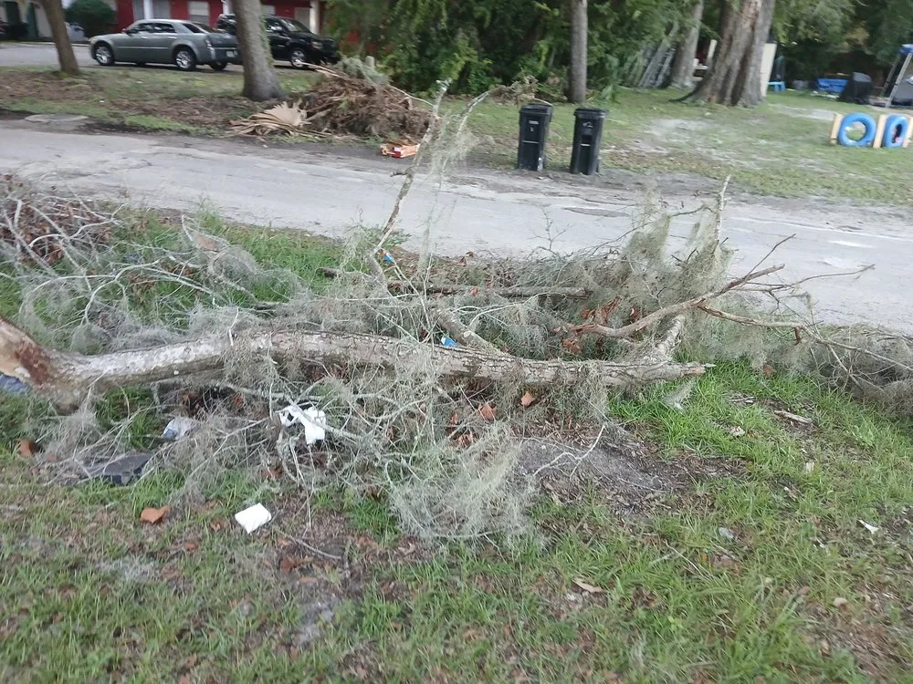 Local landscape installation in Bronson, FL by P&C Ultimate Lawn Care