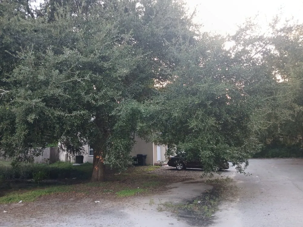 Top-rated lawn mowing service for residential properties across Bronson, FL - P&C Ultimate Lawn Care