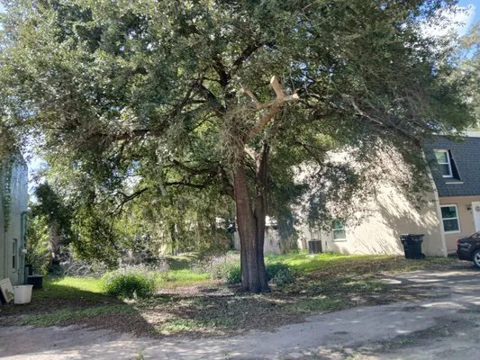 P&C Ultimate Lawn Care Logo