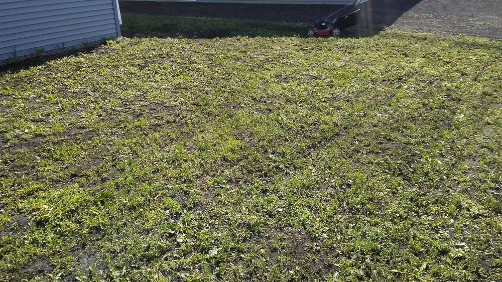 Affordable landscape design for homes across Fargo, ND - PCD All Star Lawn Care