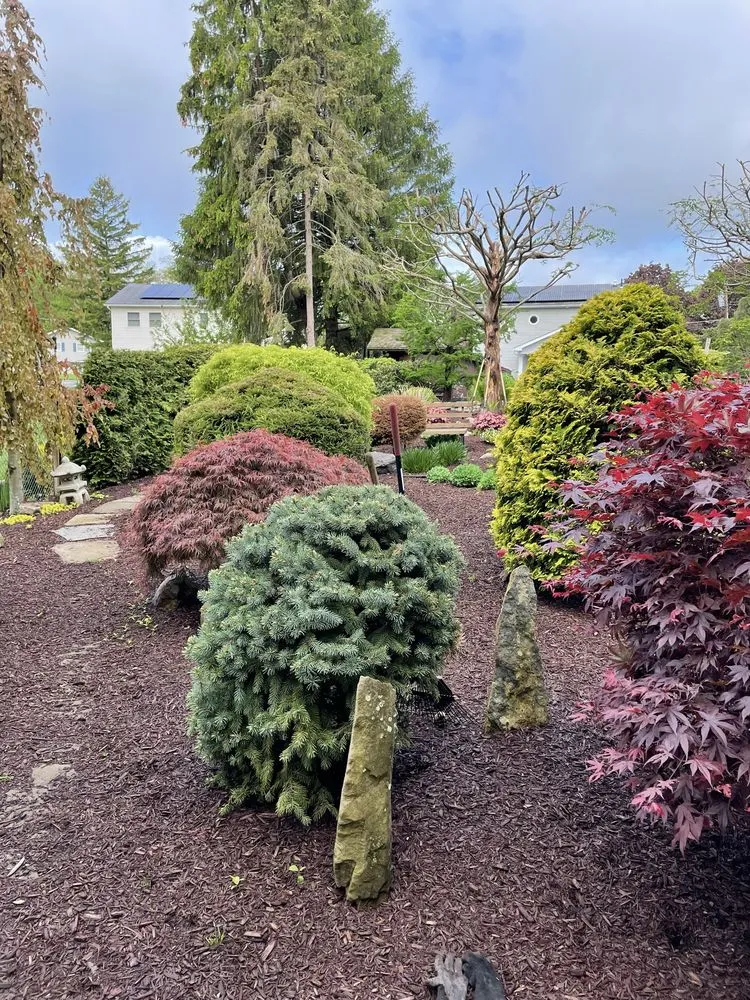 Trusted lawn mowing service experts serving Middletown, NY - Pcd Handyman Services