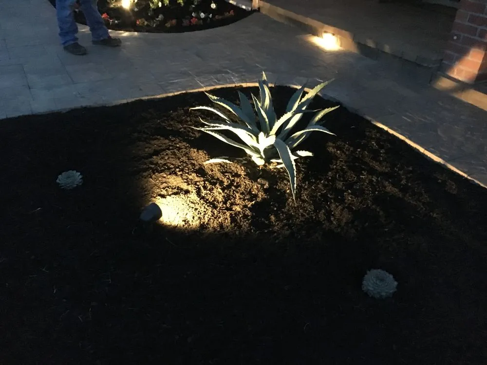 Custom yard cleanup service in Danville, CA by PCE Studio