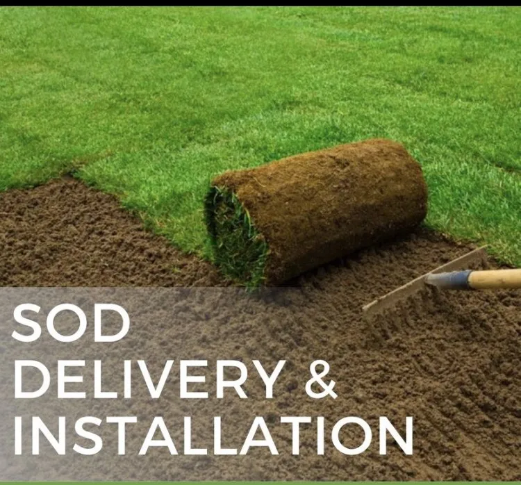 Top-rated yard cleanup service for year-round maintenance in Boston, MA by PCG Landscape Management