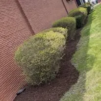 Reliable garden landscaping near you across Clinton Township, MI - PCG Property Maintenance