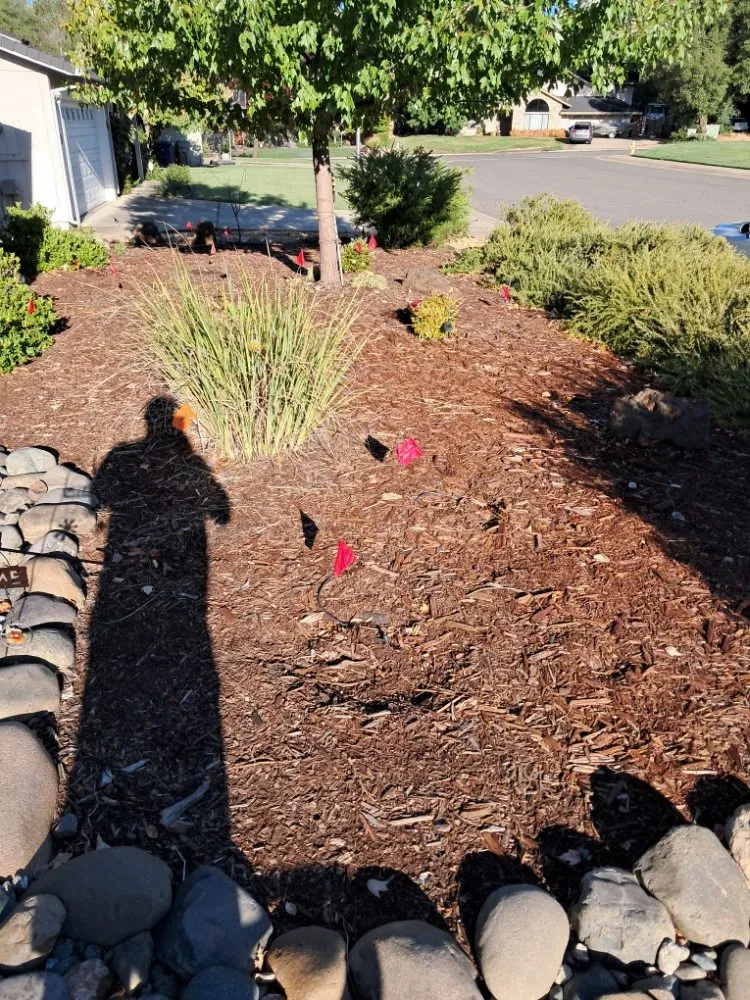 Reliable landscaping services for beautiful yards across Millville, CA - Pcl Landscaping