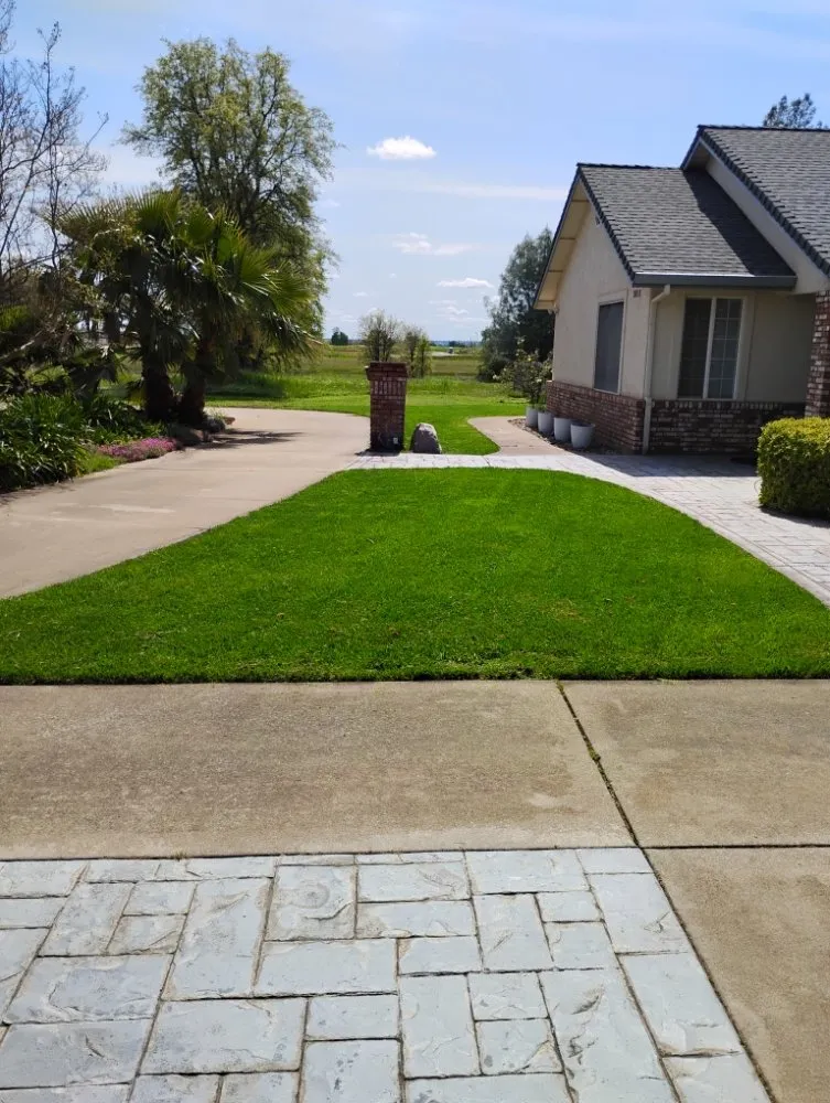Top-rated lawn mowing service in Millville, CA by Pcl Landscaping