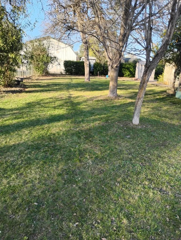 Affordable landscaping services in Millville, CA by Pcl Landscaping
