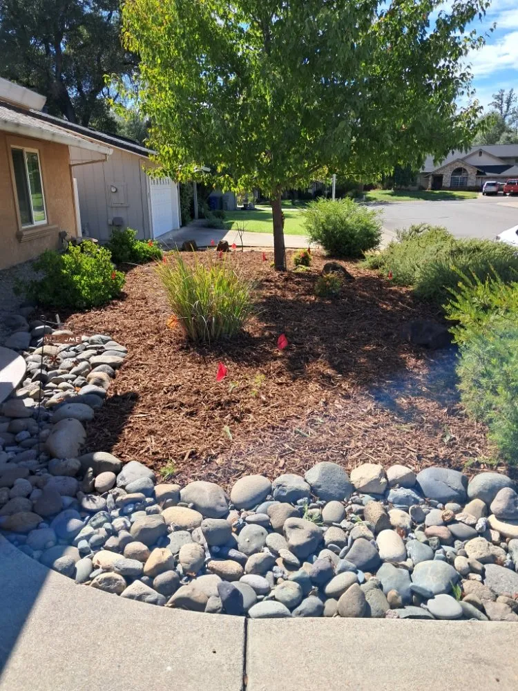 Professional garden landscaping in Millville, CA - Pcl Landscaping