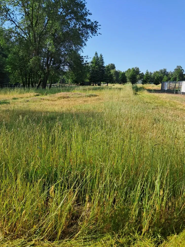 Trusted residential landscaping near you across Millville, CA - Pcl Landscaping