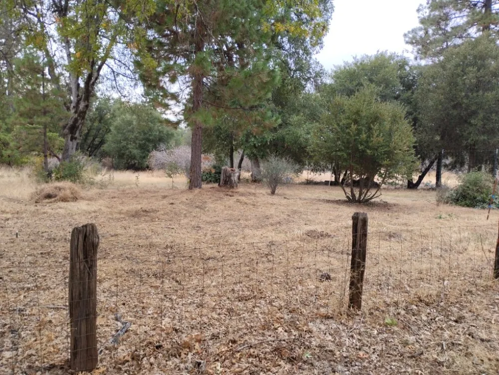 Custom residential landscaping for outdoor upgrades across Millville, CA - Pcl Landscaping