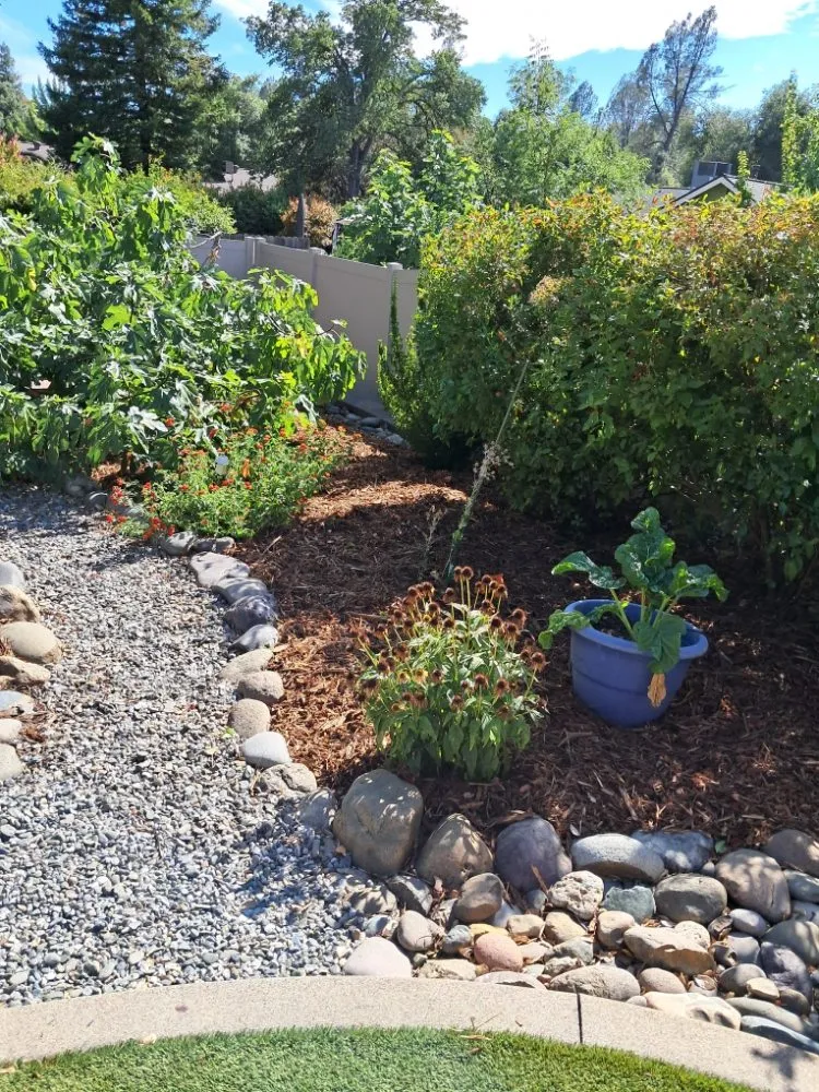 Custom residential landscaping experts serving Millville, CA - Pcl Landscaping