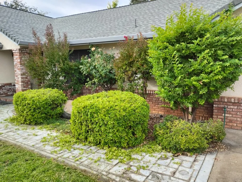 Affordable lawn care service with custom design in Millville, CA by Pcl Landscaping