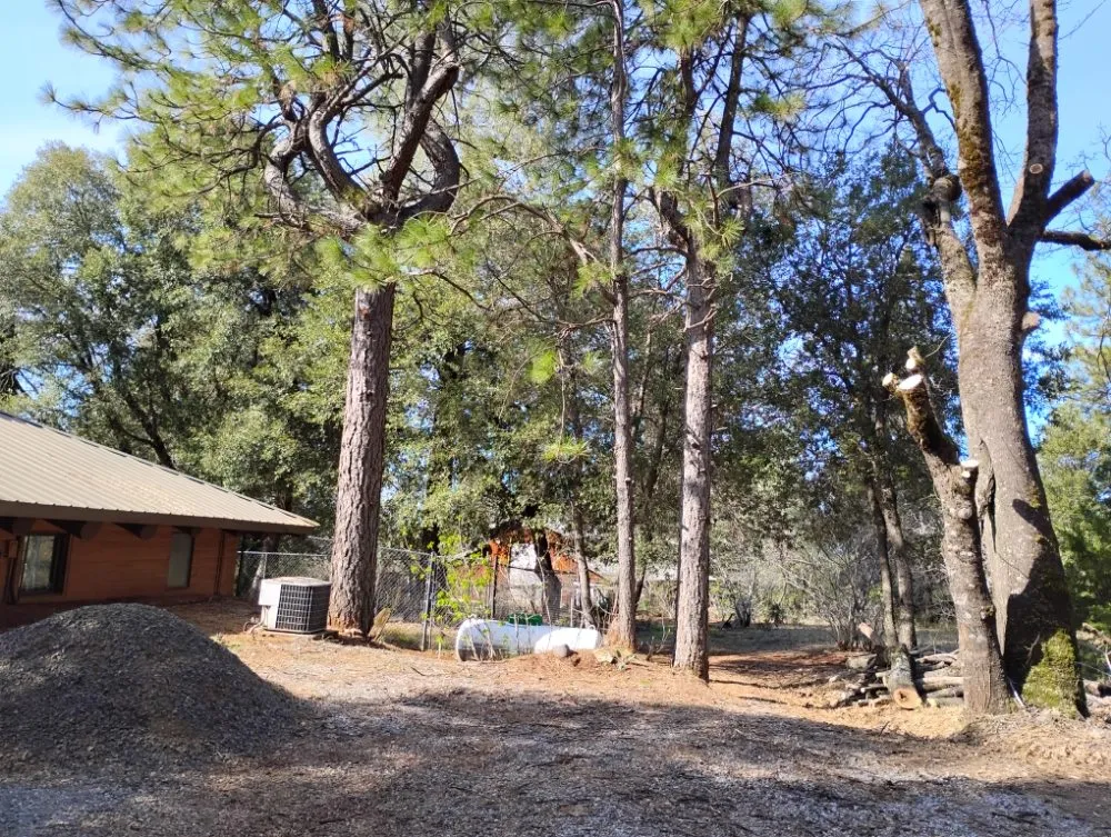 Top-rated outdoor landscaping experts serving Millville, CA - Pcl Landscaping