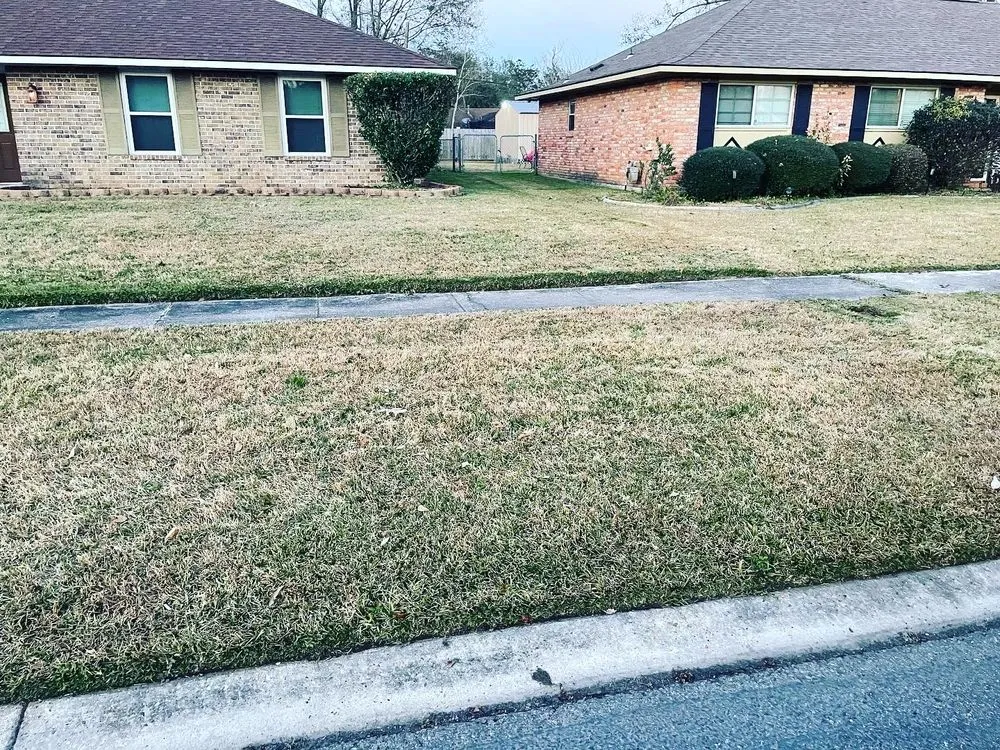 Top-rated residential landscaping for year-round maintenance in Baton Rouge, LA by PCR Lawn Care