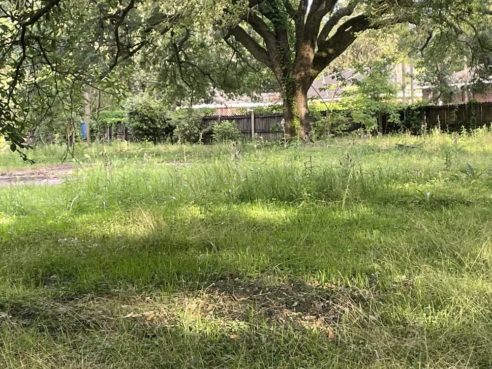 Top-rated outdoor landscaping near you in Baton Rouge, LA by PCR Lawn Care