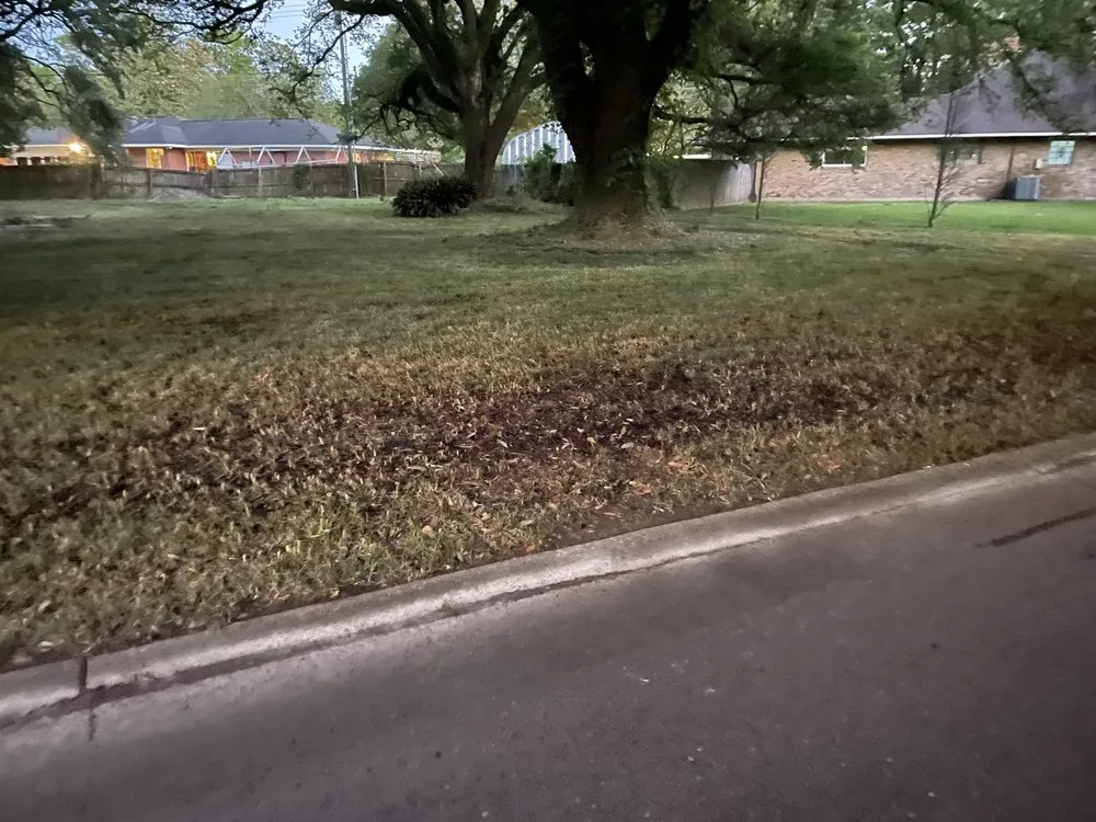 Professional outdoor landscaping with custom design across Baton Rouge, LA - PCR Lawn Care