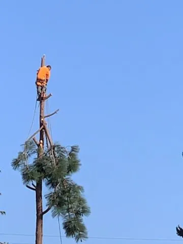 Trusted residential landscaping in Fresno, CA by PCRL