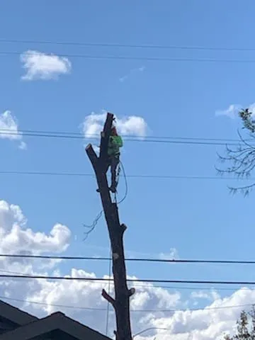 Expert landscape installation experts serving Fresno, CA - PCRL