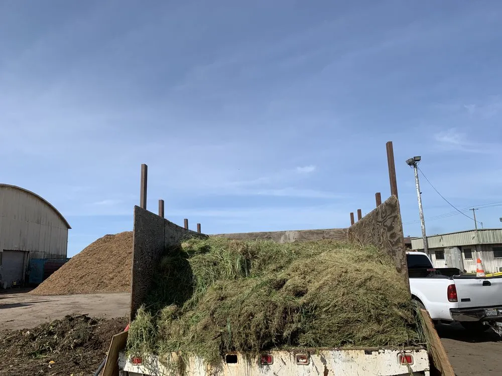 Top-rated outdoor landscaping for outdoor upgrades across Fresno, CA - PCRL