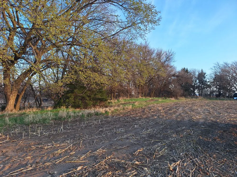 Top-rated garden landscaping experts serving Aurora, NE - PCRV Haven