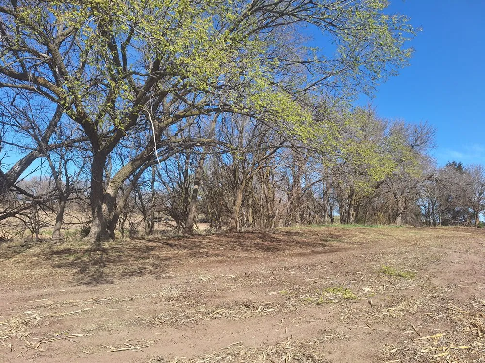 Top-rated landscape design for outdoor upgrades in Aurora, NE by PCRV Haven