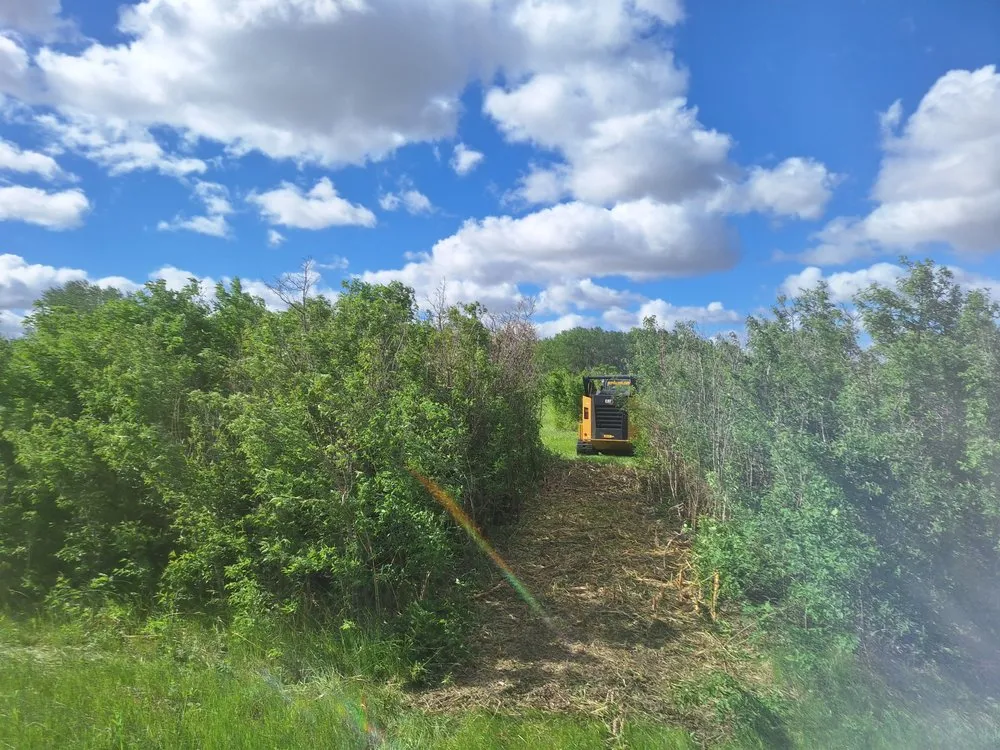 Professional outdoor landscaping in Aurora, NE - PCRV Haven