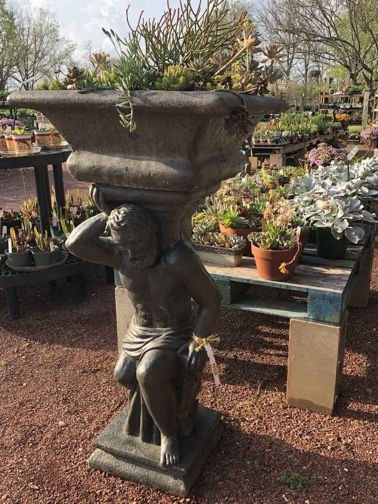 Reliable lawn care service for beautiful yards across Dothan, AL - PC's Nursery & Landscaping