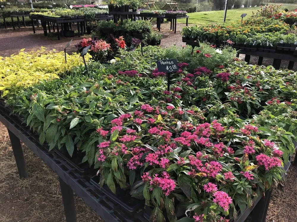 Custom landscape design in Dothan, AL - PC's Nursery & Landscaping