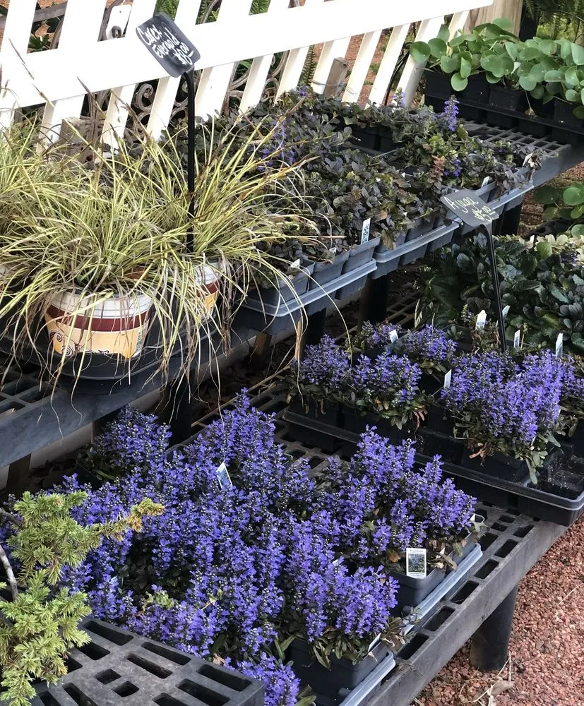 Expert residential landscaping with custom design across Dothan, AL - PC's Nursery & Landscaping