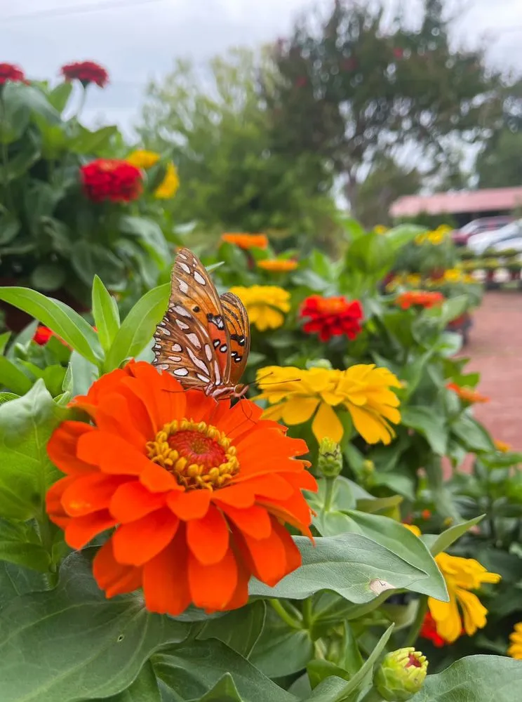 Expert garden landscaping with custom design across Dothan, AL - PC's Nursery & Landscaping