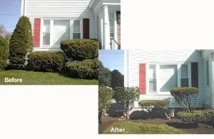 Professional yard cleanup service experts serving Biddeford, ME - Pcu Enterprises Lawn Maintenance