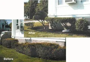 Professional yard cleanup service in Biddeford, ME - Pcu Enterprises Lawn Maintenance