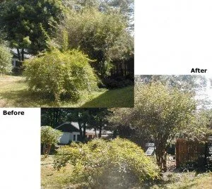 Reliable lawn care service for year-round maintenance in Biddeford, ME by Pcu Enterprises Lawn Maintenance