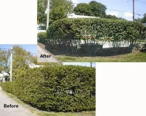 Reliable lawn mowing service experts serving Biddeford, ME - Pcu Enterprises Lawn Maintenance