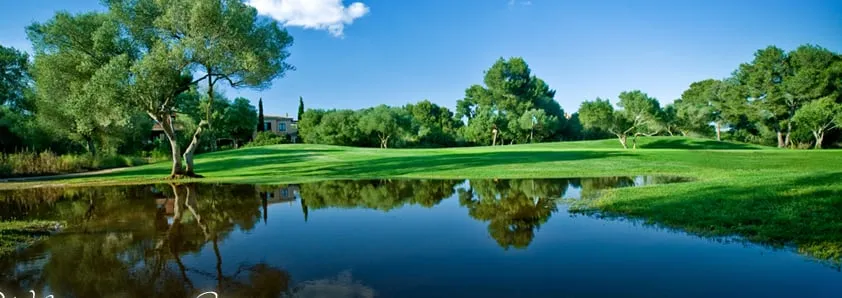 Top-rated lawn mowing service in San Lorenzo, CA - PD Construction and Landscaping