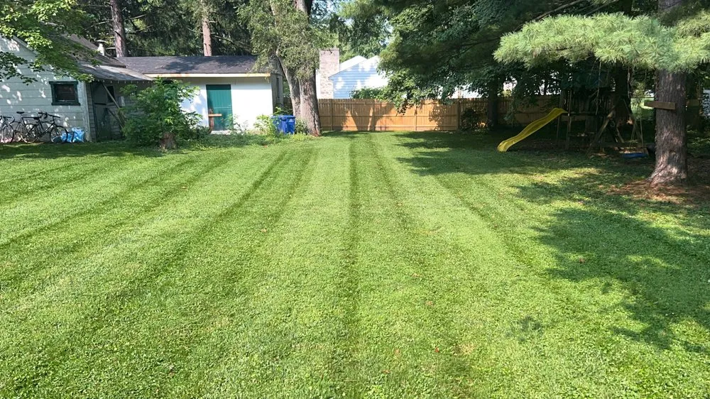 Expert yard cleanup service in Lynn, IN - PD Contracting