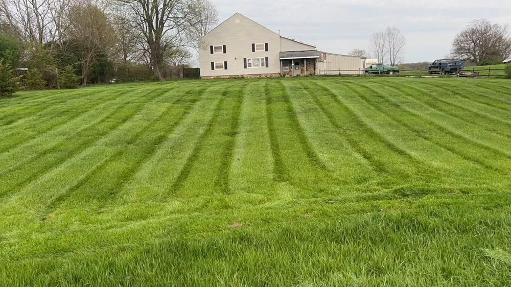 Professional residential landscaping in Lynn, IN - PD Contracting