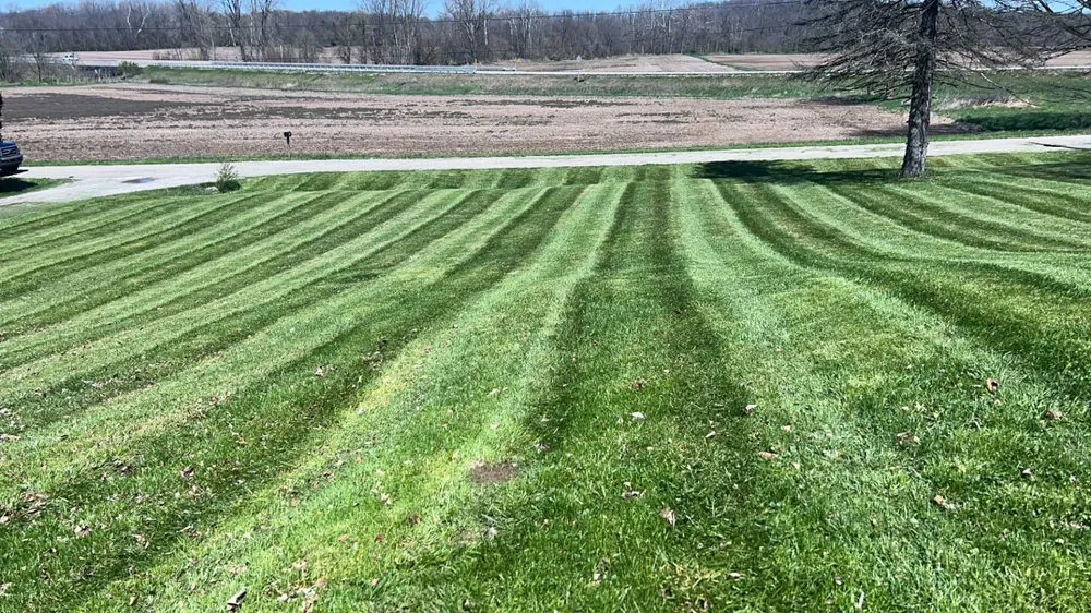 Expert yard maintenance for year-round maintenance in Lynn, IN by PD Contracting