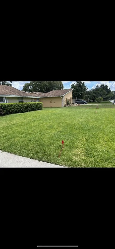 Top-rated yard cleanup service experts serving Apopka, FL - P&D Landscaping