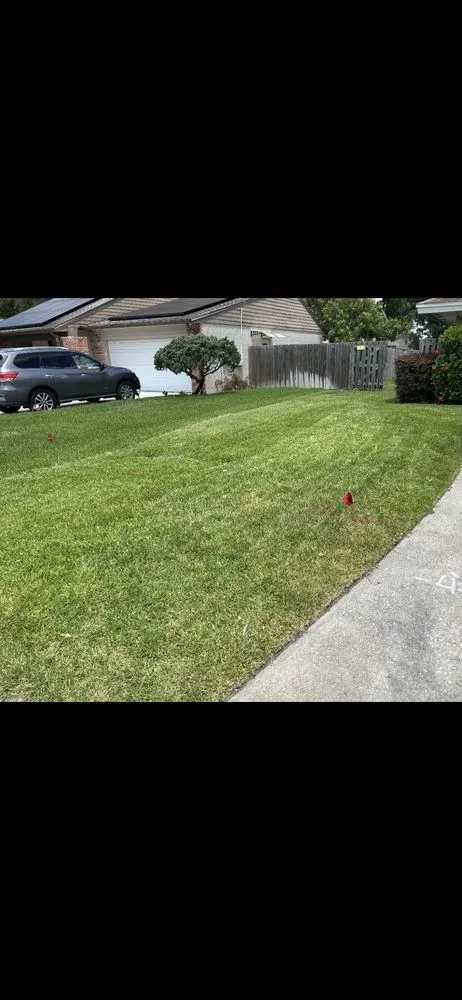 Custom landscape installation in Apopka, FL - P&D Landscaping